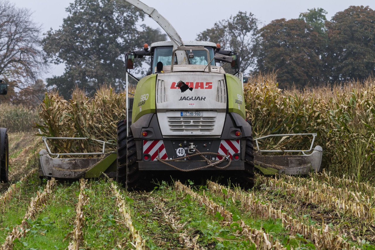 Bild 126 - Biogas am 21.10.12